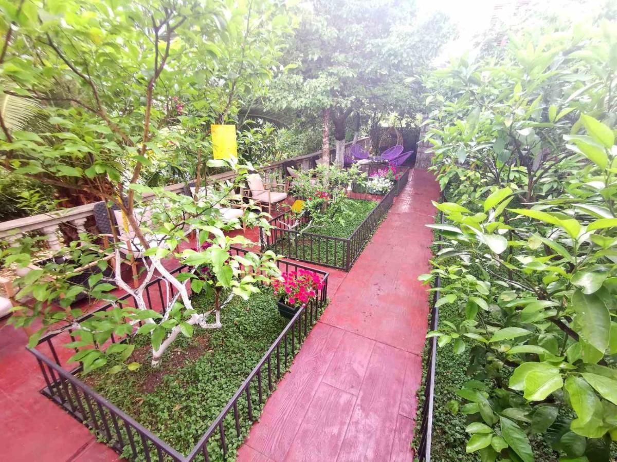 Hotel Alkima Kotor Ngoại thất bức ảnh