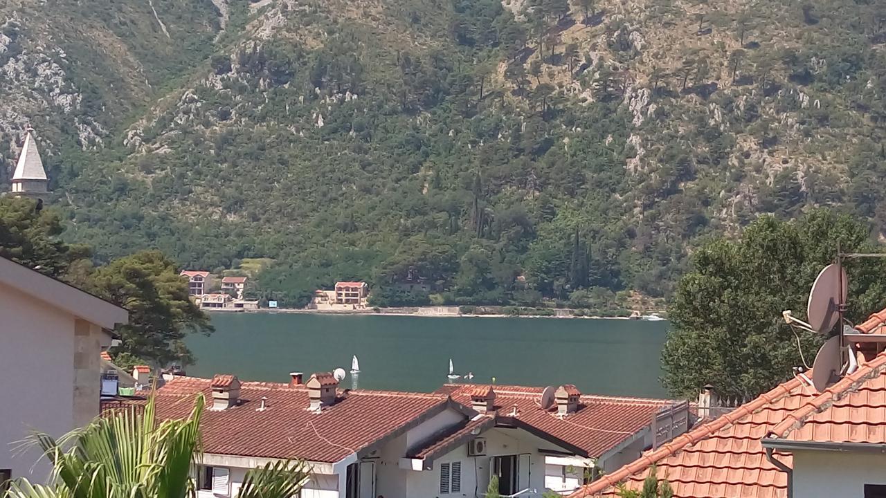 Hotel Alkima Kotor Ngoại thất bức ảnh